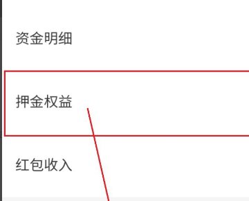 为什么小黄车退押金选项没有了