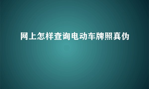 网上怎样查询电动车牌照真伪