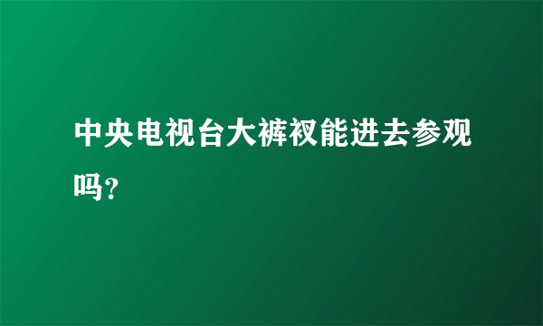 中央电视台大裤衩能进去参观吗？