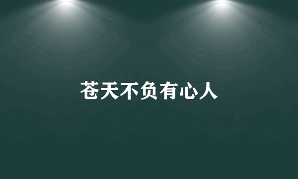 苍天不负有心人