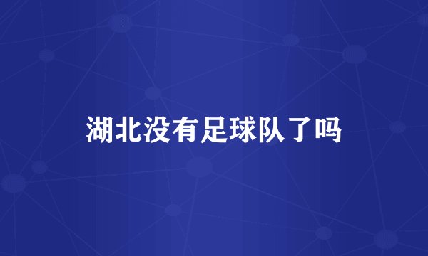 湖北没有足球队了吗