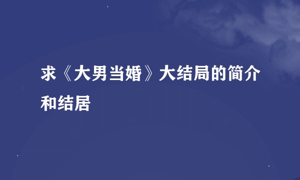 求《大男当婚》大结局的简介和结居