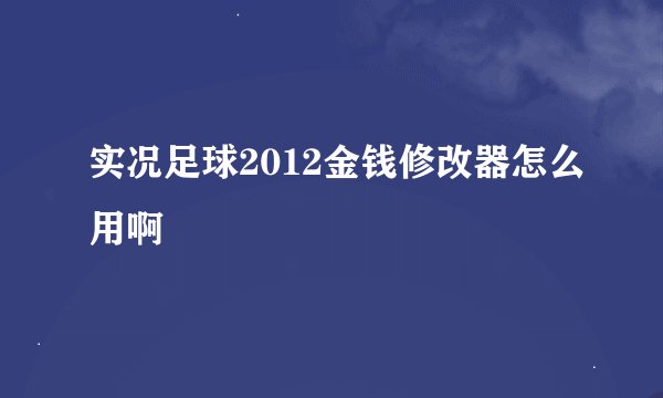 实况足球2012金钱修改器怎么用啊