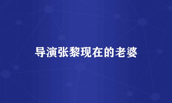 导演张黎现在的老婆