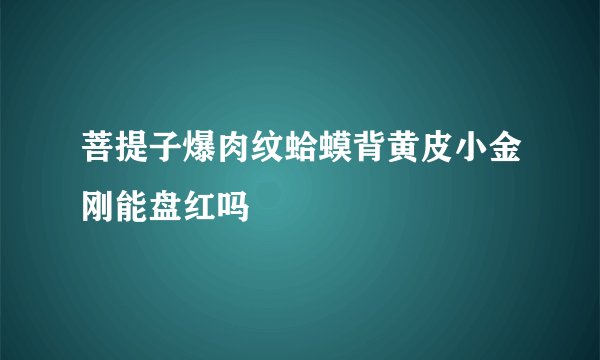 菩提子爆肉纹蛤蟆背黄皮小金刚能盘红吗