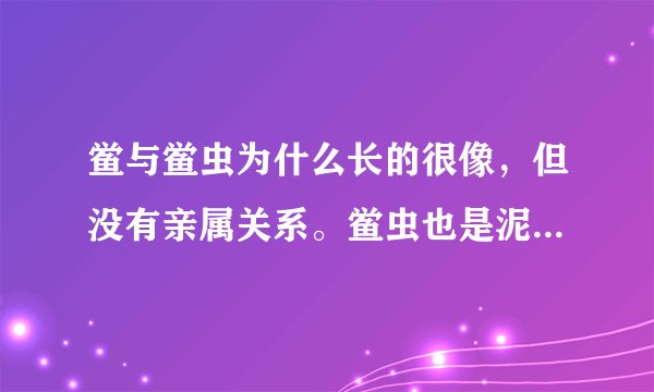 鲎与鲎虫为什么长的很像，但没有亲属关系。鲎虫也是泥盆纪年代的动物吗？