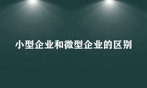 小型企业和微型企业的区别