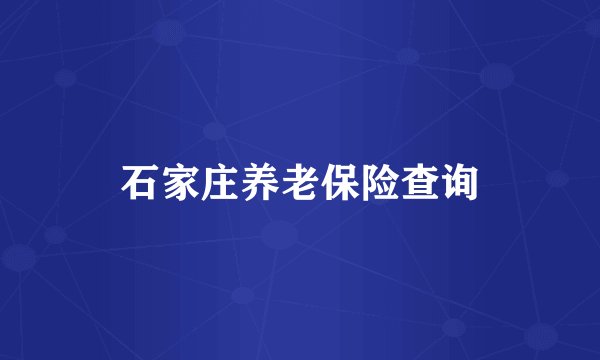 石家庄养老保险查询