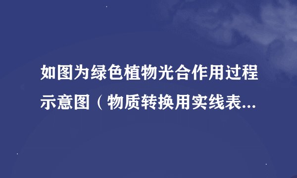 如图为绿色植物光合作用过程示意图（物质转换用实线表示，能量传递用虚线表示，图中a～g为物质，①～⑥为