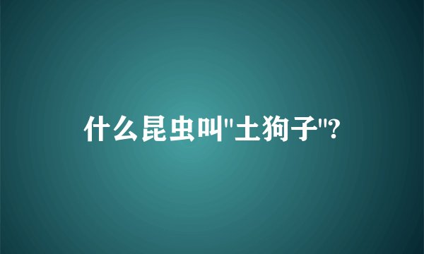 什么昆虫叫