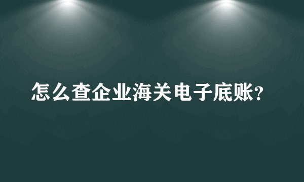 怎么查企业海关电子底账？