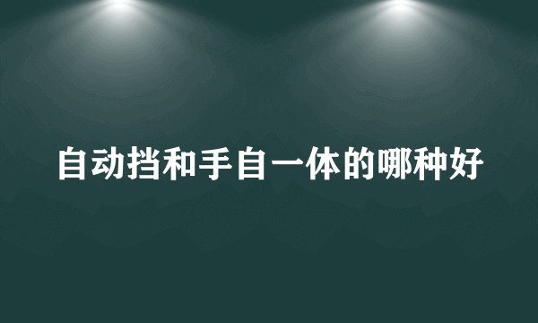 自动挡和手自一体的哪种好