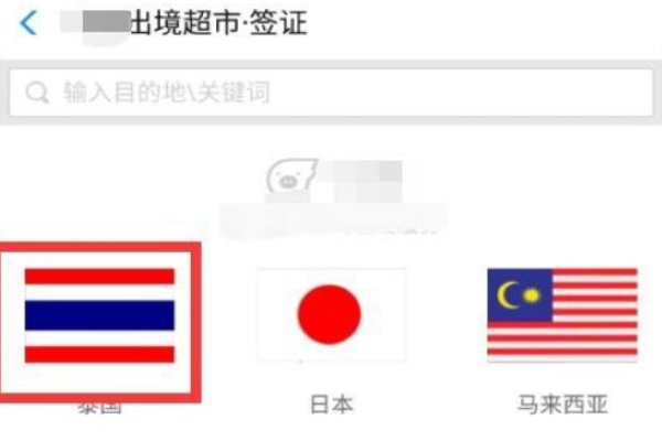 网上怎样签证