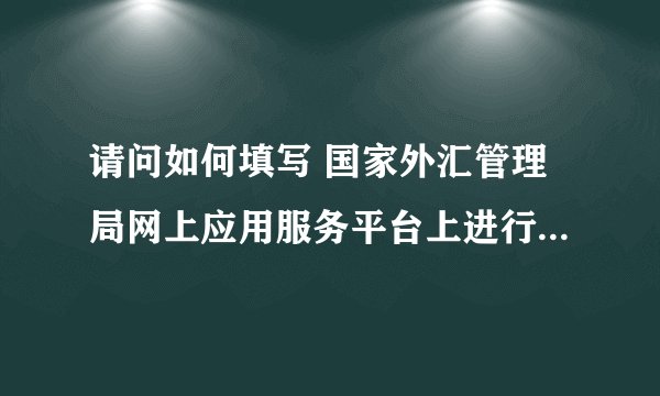 请问如何填写 国家外汇管理局网上应用服务平台上进行“网上进口逐笔报告”？