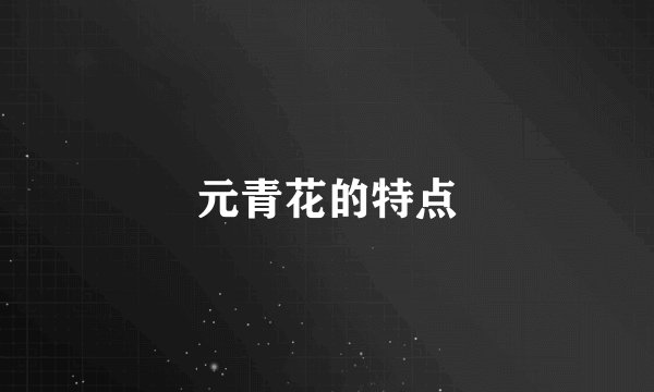 元青花的特点