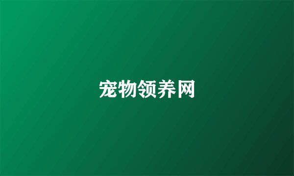 宠物领养网