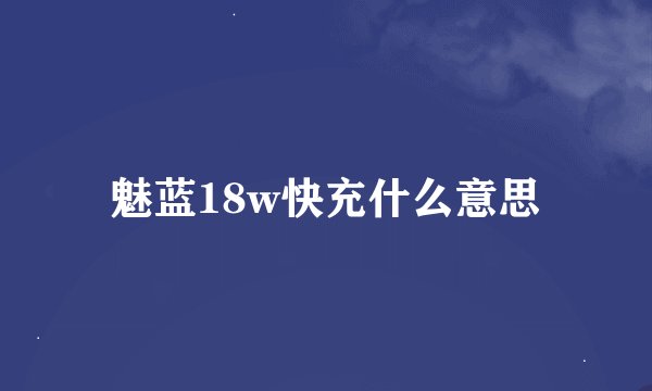魅蓝18w快充什么意思