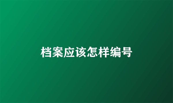 档案应该怎样编号