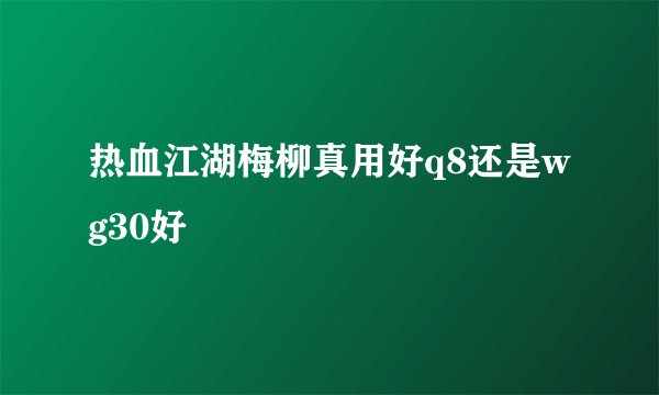 热血江湖梅柳真用好q8还是wg30好