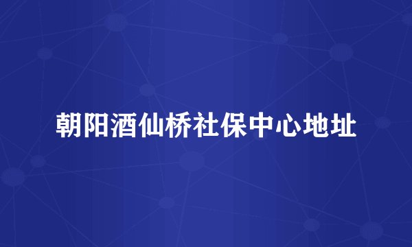 朝阳酒仙桥社保中心地址