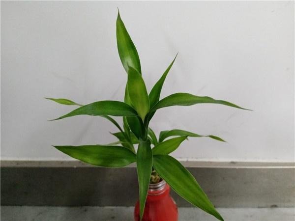 荣耀8A好用吗