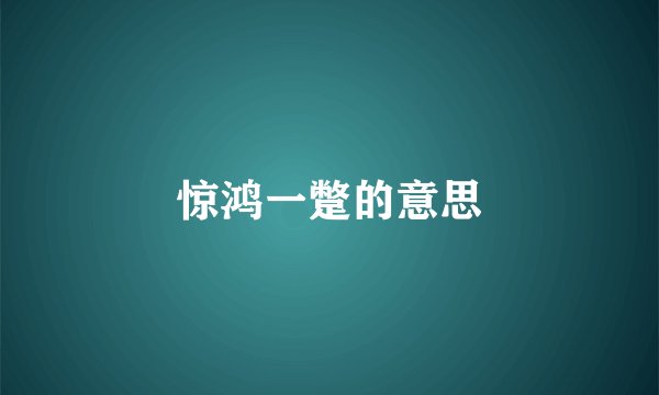 惊鸿一蹩的意思