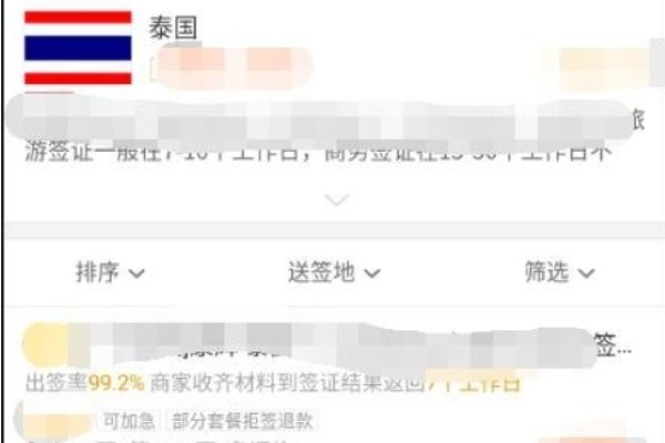 网上怎样签证