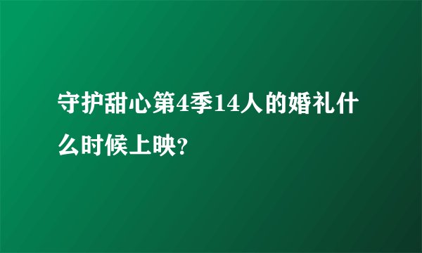 守护甜心第4季14人的婚礼什么时候上映？
