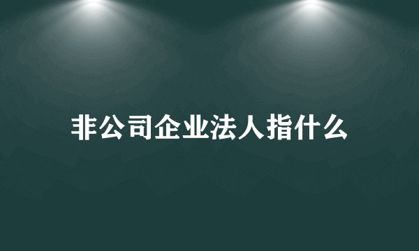 非公司企业法人指什么