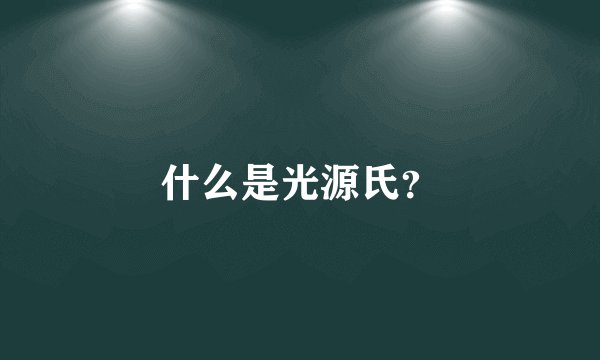 什么是光源氏？