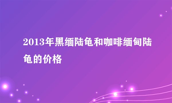 2013年黑缅陆龟和咖啡缅甸陆龟的价格