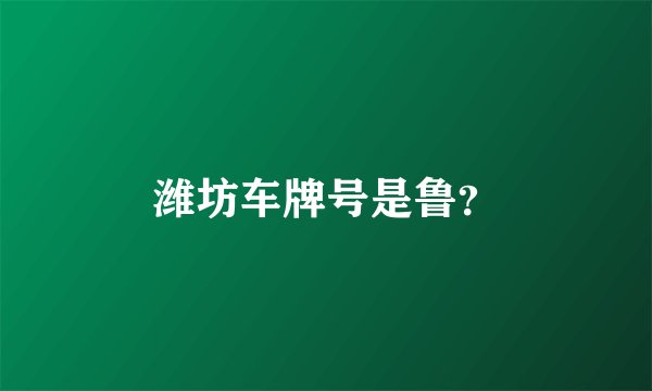 潍坊车牌号是鲁？