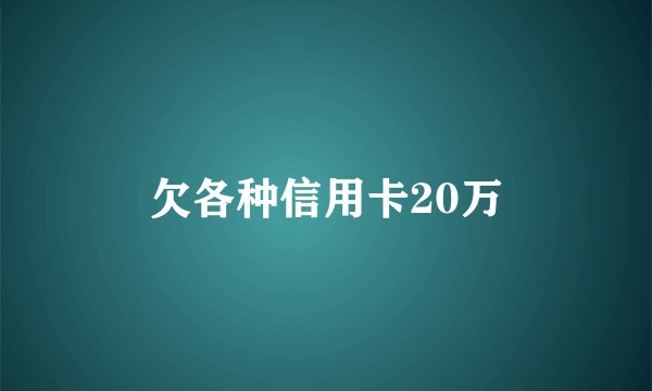 欠各种信用卡20万