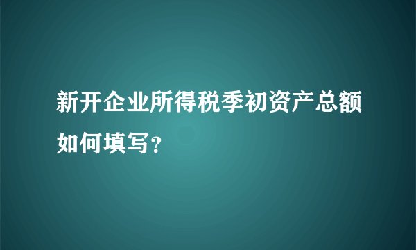 新开企业所得税季初资产总额如何填写？