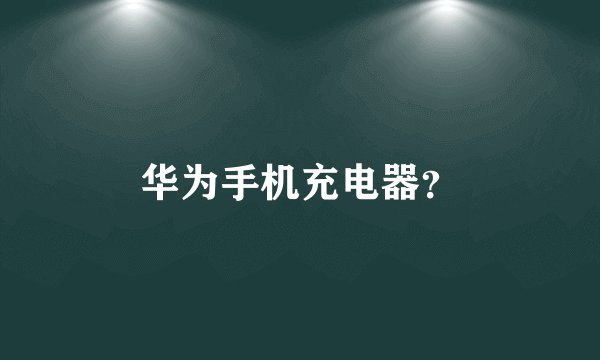 华为手机充电器？