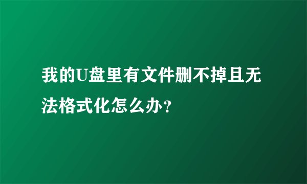 我的U盘里有文件删不掉且无法格式化怎么办？