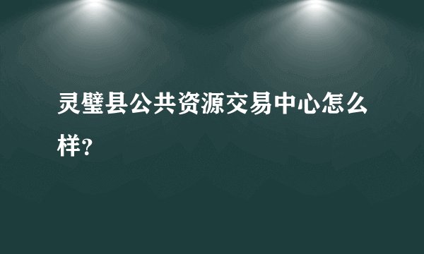 灵璧县公共资源交易中心怎么样？
