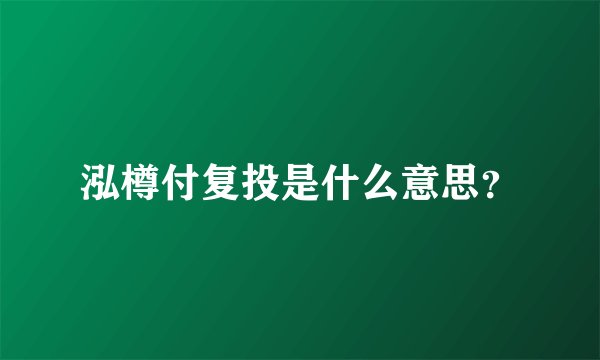 泓樽付复投是什么意思？
