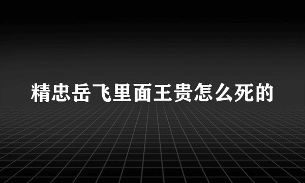 精忠岳飞里面王贵怎么死的
