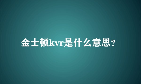 金士顿kvr是什么意思？