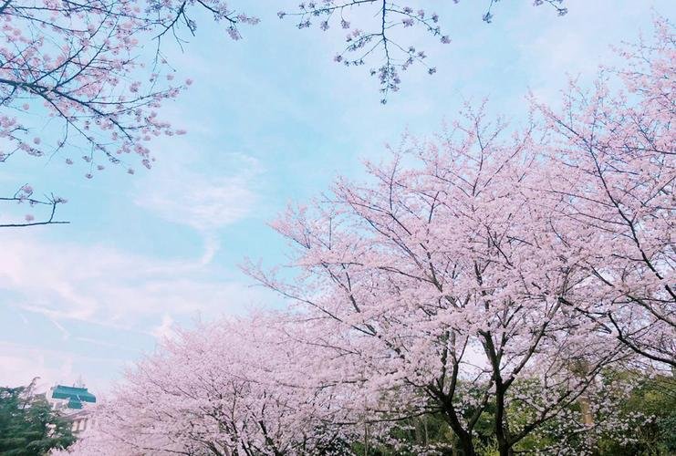 你怎样理解“大学之大”的含义？