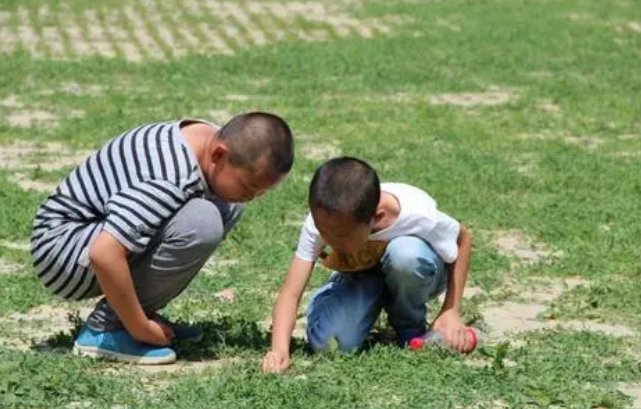 我出生在一个农民的家庭，从小在山村长大，童年时的经历很丰富，趣事儿也很多，如…（此处省略300字）