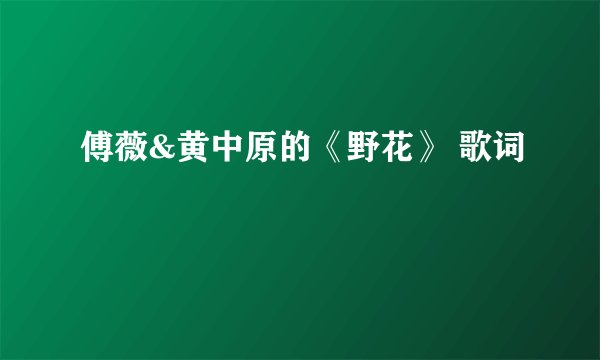 傅薇&黄中原的《野花》 歌词