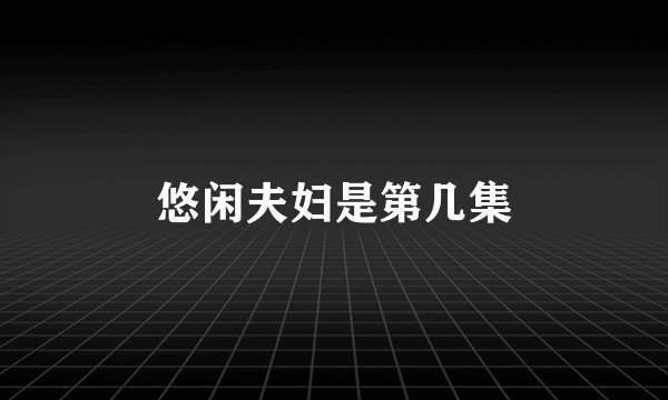 悠闲夫妇是第几集