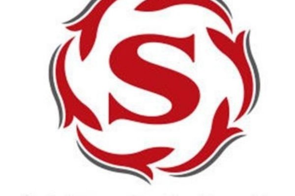 学雅思哪个机构好