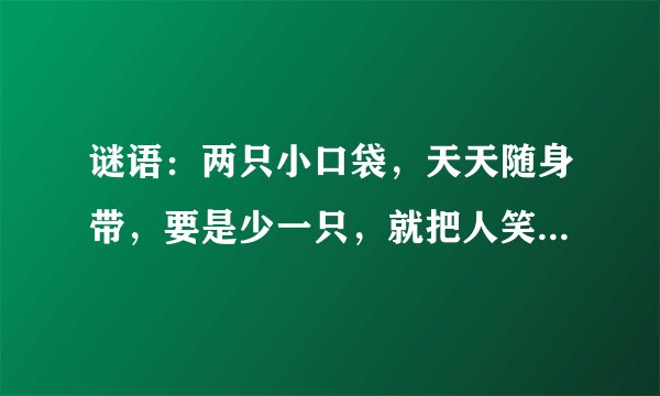 谜语：两只小口袋，天天随身带，要是少一只，就把人笑坏。（打一物）