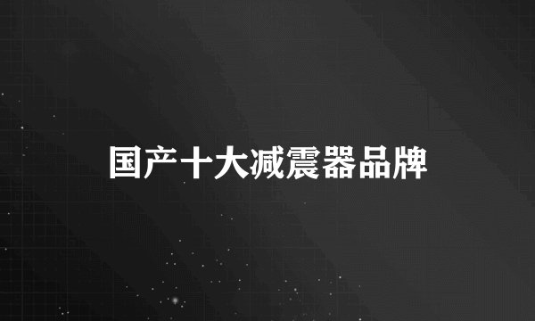 国产十大减震器品牌