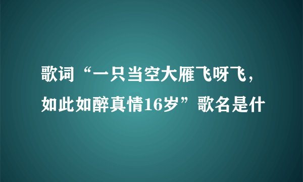 歌词“一只当空大雁飞呀飞，如此如醉真情16岁”歌名是什