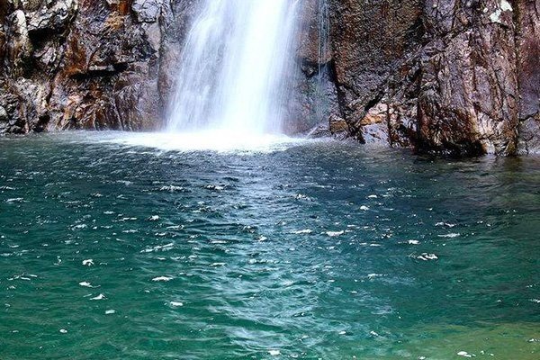济南发现了五龙潭地下空间,并发现了大型未知生物,究竟是什么?