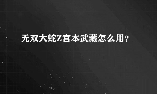 无双大蛇Z宫本武藏怎么用？